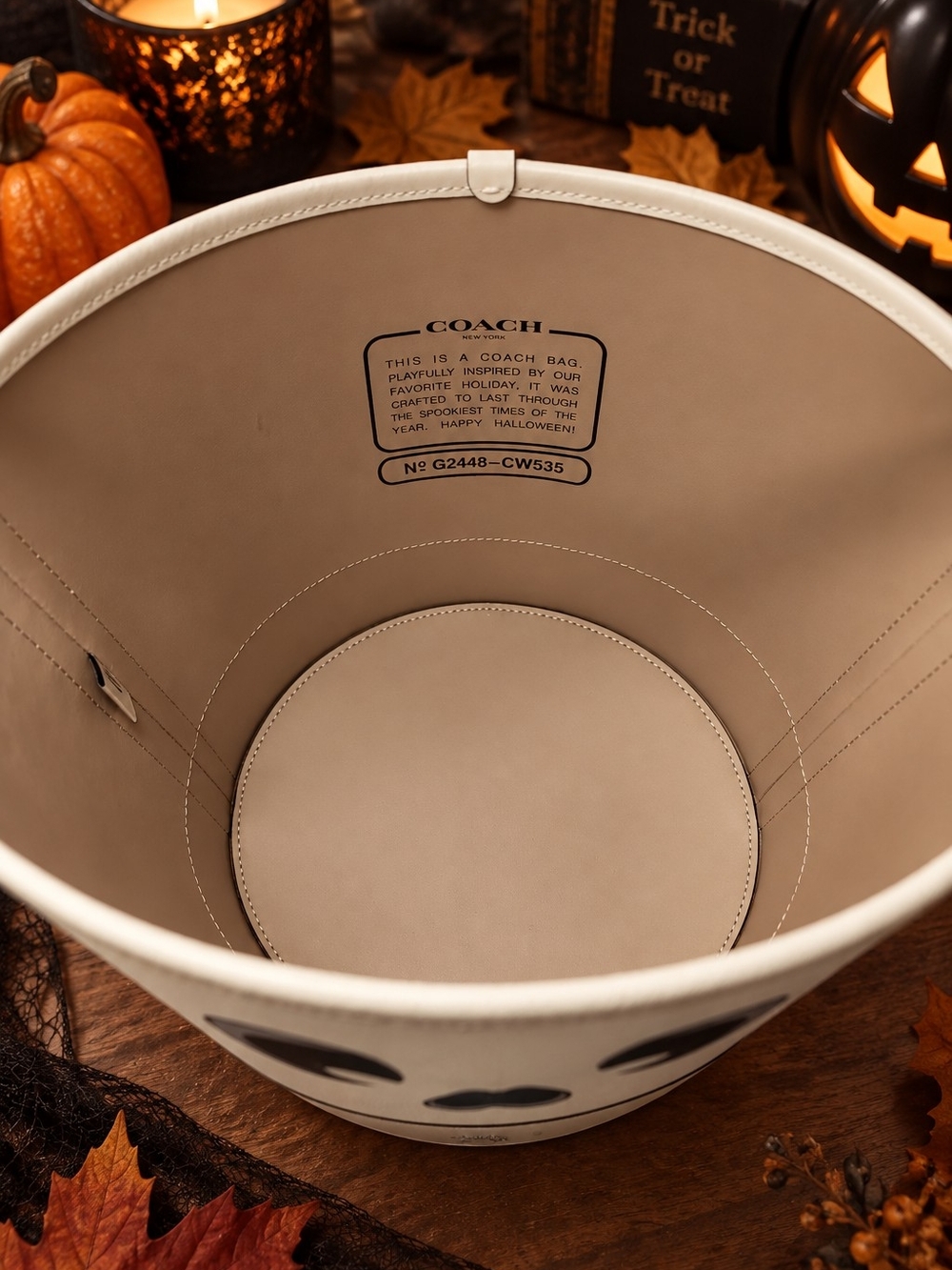 Coach Halloween Trick Or Treat Bucket Bag Skeleton Ghost - Picture 4 of 4